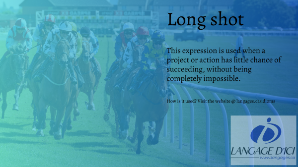 A racehorse competing illustrating the origin of the expression 'long shot.'